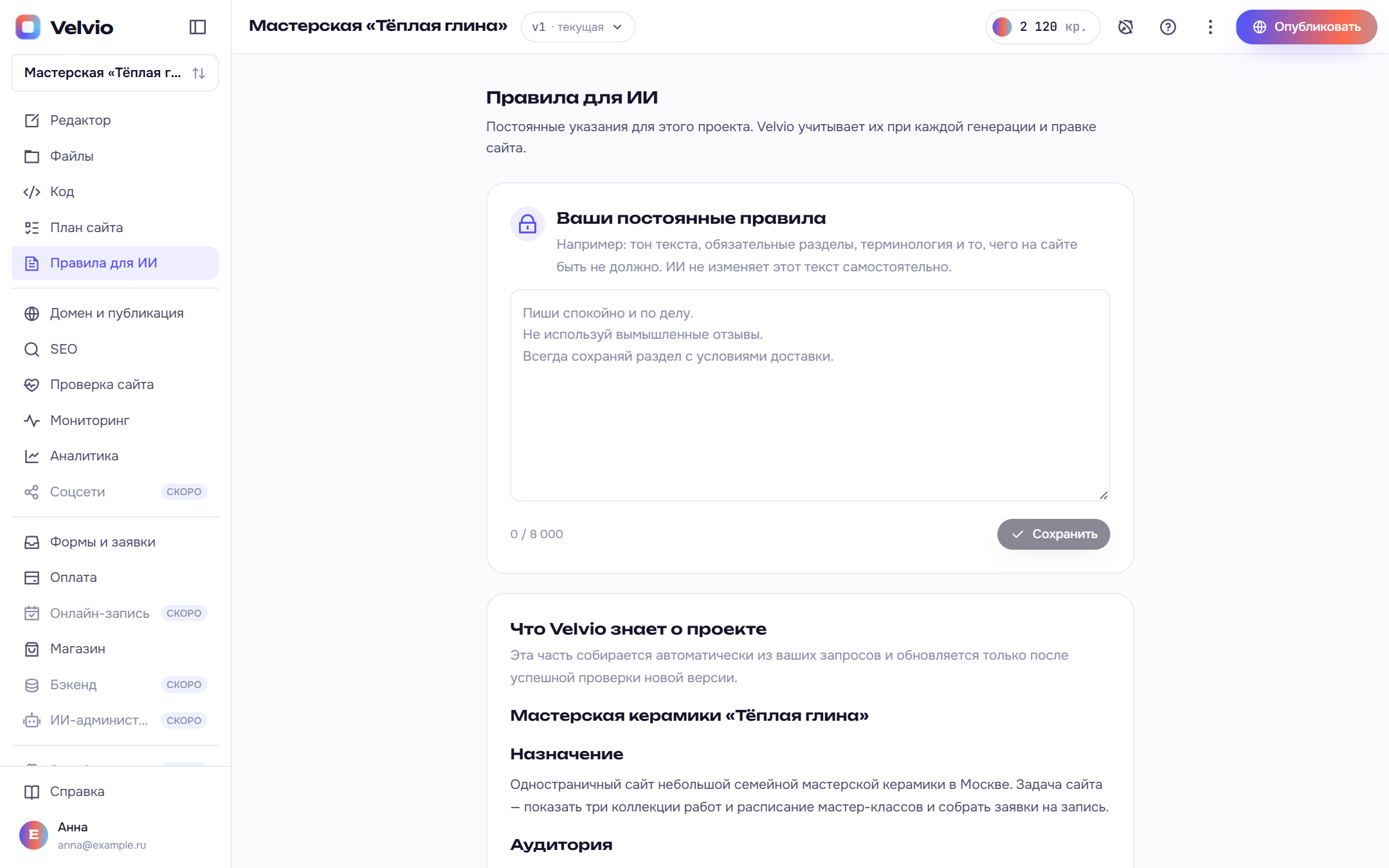 Постоянные правила и знания Velvio о проекте
