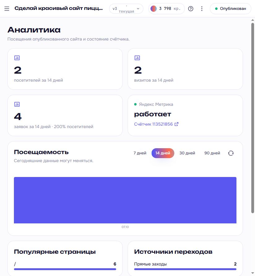 Раздел «Аналитика»: посетители, визиты, заявки, состояние Яндекс Метрики и график по дням